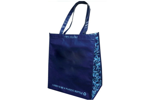 Sonata Bags Carry Bags