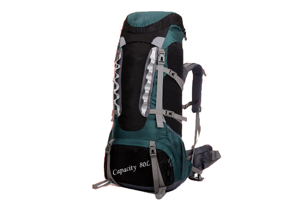 Sonata Bags Carry Bags