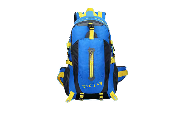 Sonata Bags Carry Bags