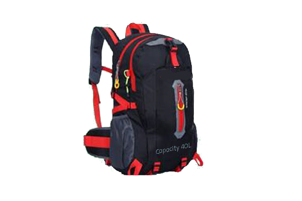 Sonata Bags Carry Bags