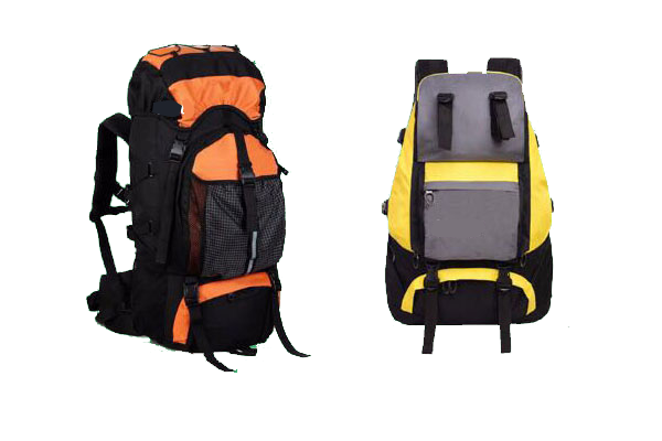 Sonata Bags Carry Bags