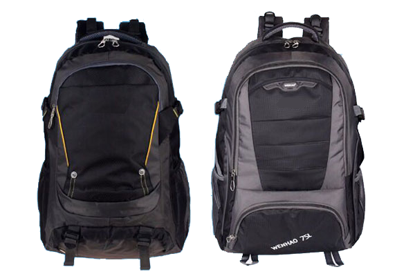 Sonata Bags Carry Bags