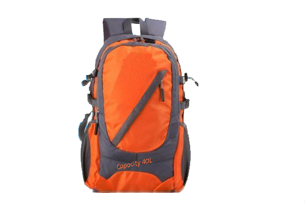 Sonata Bags Carry Bags