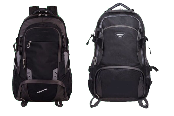 Sonata Bags Carry Bags