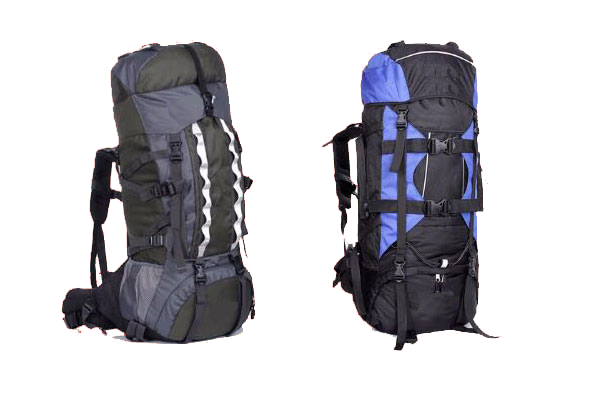 Sonata Bags Carry Bags