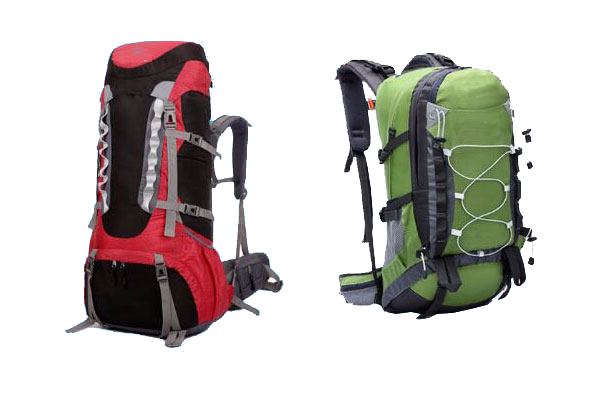 Sonata Bags Carry Bags