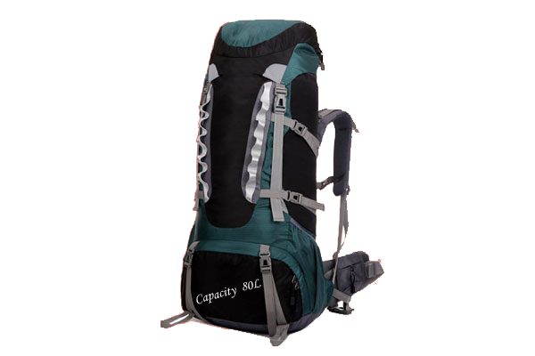 Sonata Bags Carry Bags