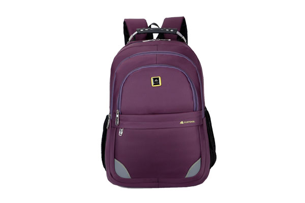 Sonata Bags Office Laptop Bags