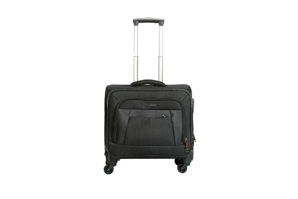 Sonata Bags Carry Bags