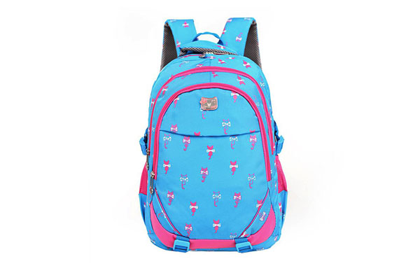 Sonata Bags Trendy Bags