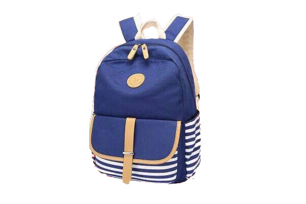 Sonata Bags Trendy Bags