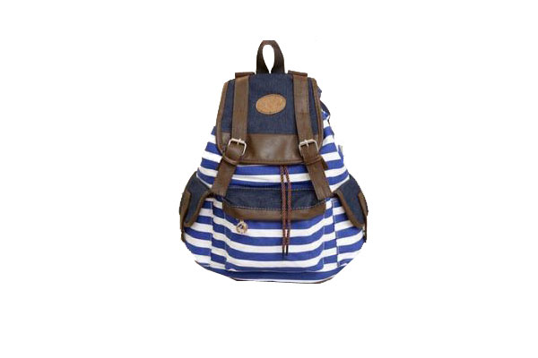 Sonata Bags Trendy Bags