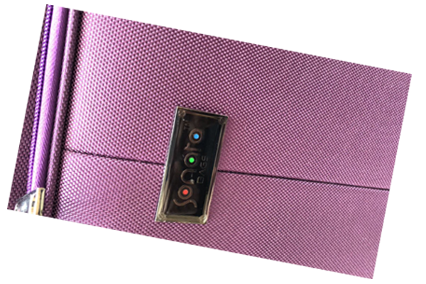 Sonata Luggage Bags
